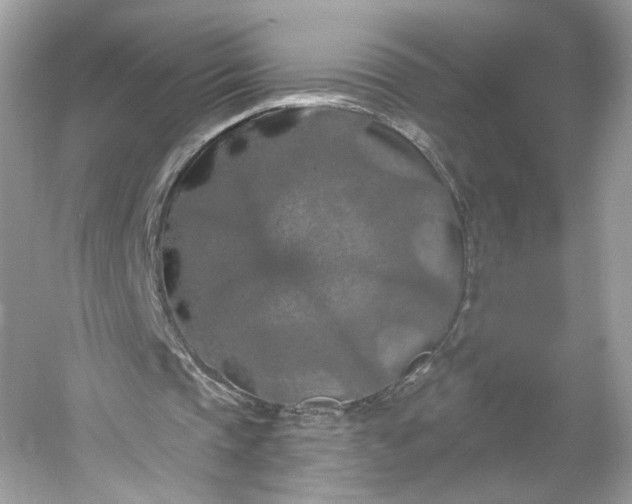 X0000053140337200507251821