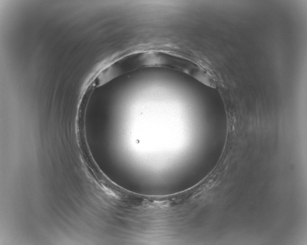 X0000053140340200507251821