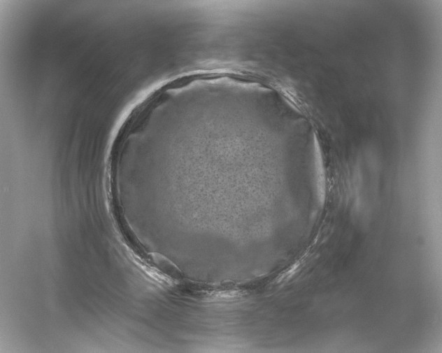 X0000053140342200507251821