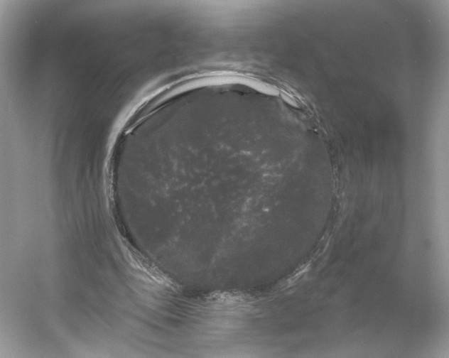 X0000053140343200507251821