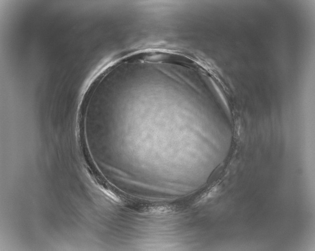 X0000053140344200507251821