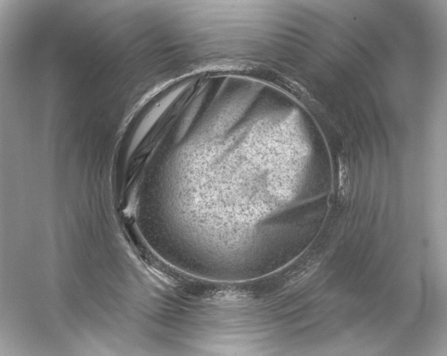 X0000053140348200507251821