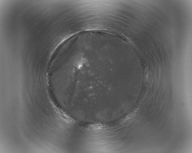 X0000053140351200507251821