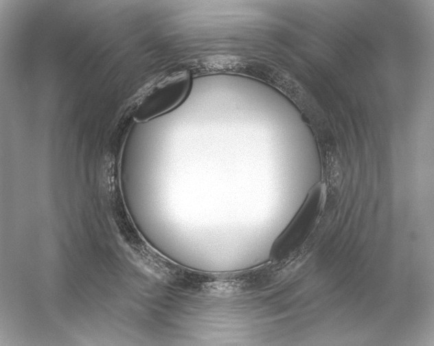 X0000053140356200507251821