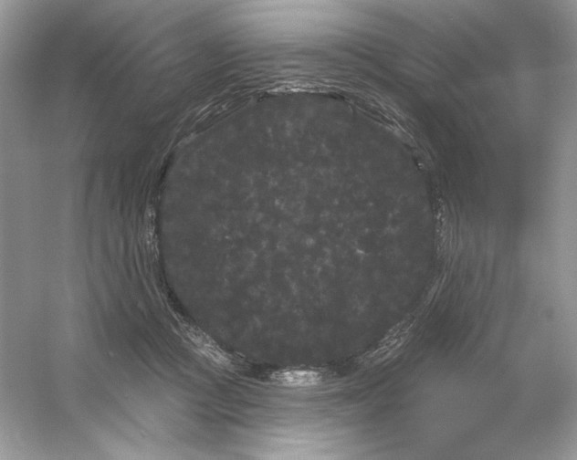 X0000053140361200507251821