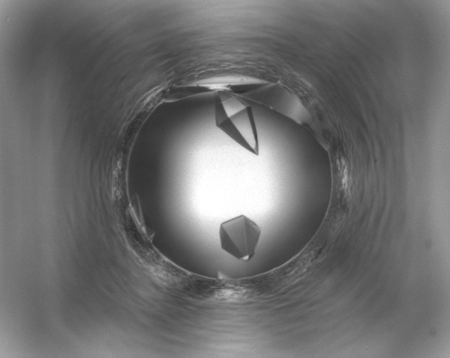 X0000053140364200507251821