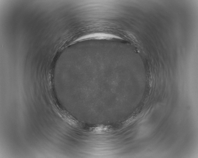 X0000053140366200507251821
