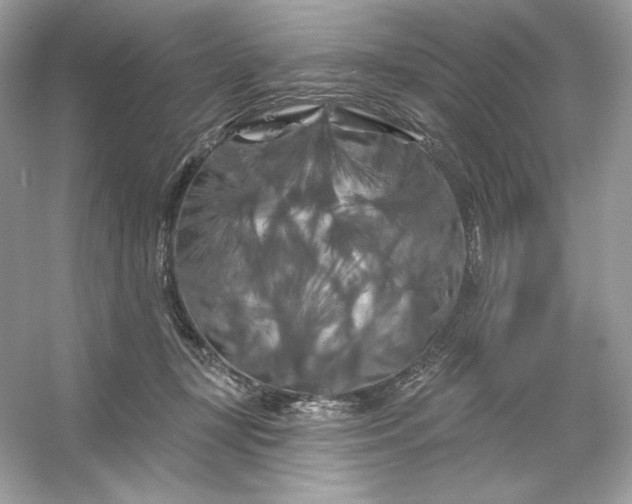 X0000053140367200507251822