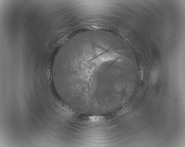 X0000053140371200507251822