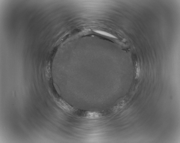 X0000053140376200507251822