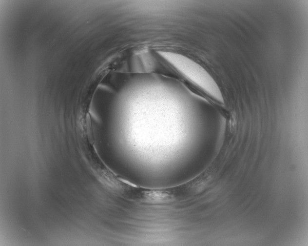 X0000053140380200507251822
