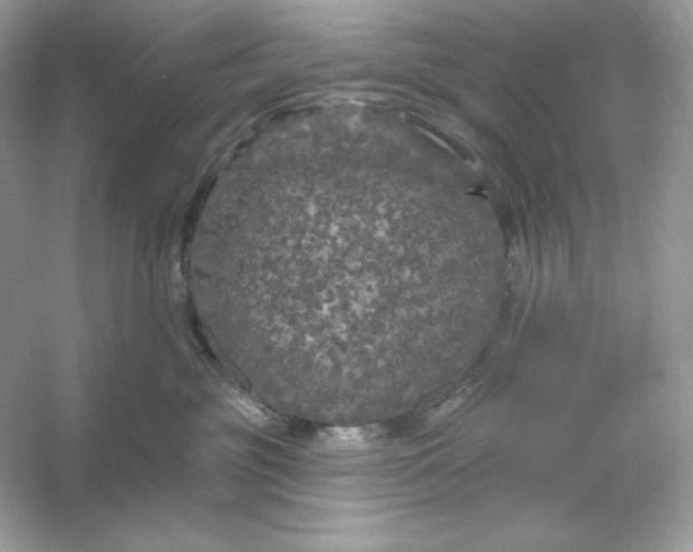 X0000053140381200507251822