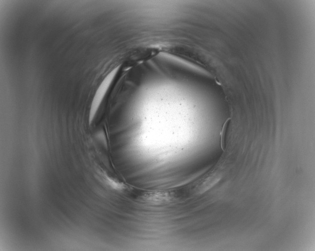 X0000053140384200507251822