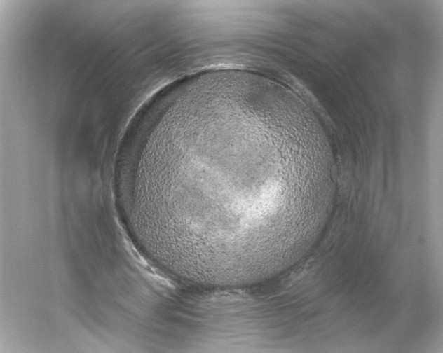 X0000053140386200507251821