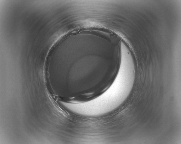 X0000053140391200507251821