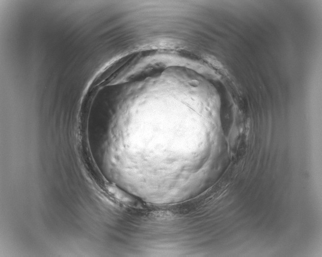 X0000053140392200507251821