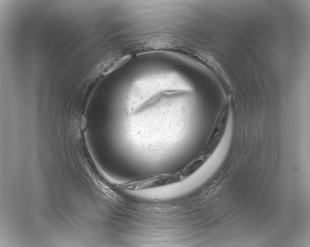 X0000053140393200507251821