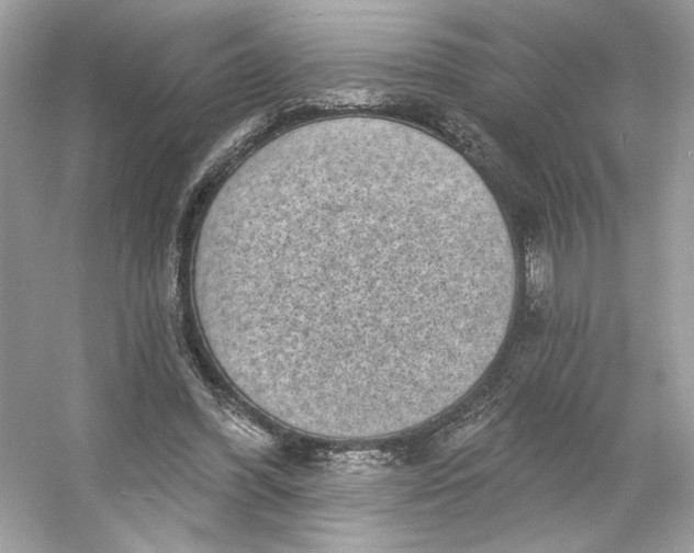 X0000053140396200507251821