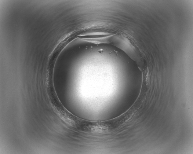 X0000053140400200507251821