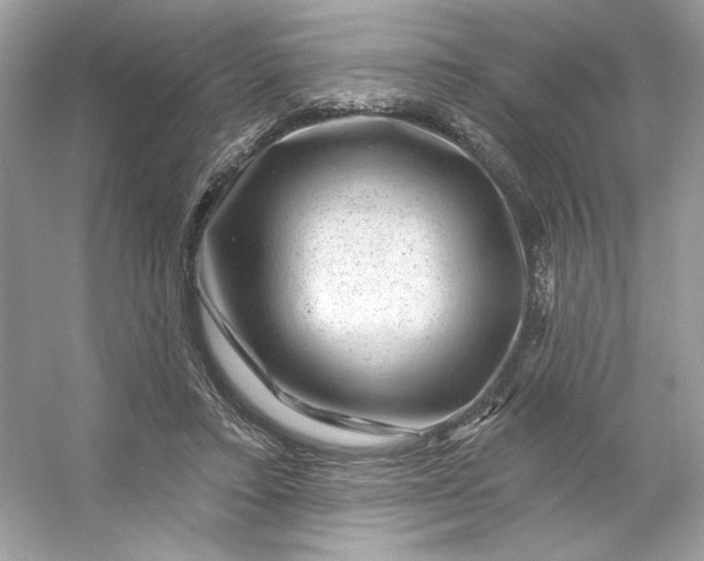 X0000053140403200507251821