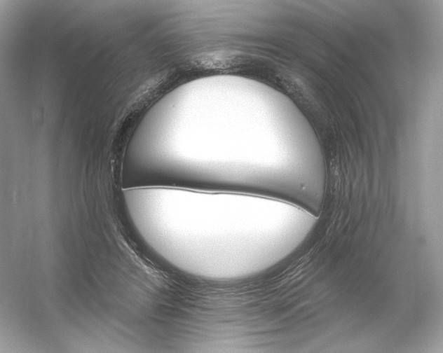 X0000053140404200507251821