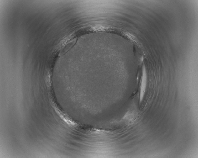 X0000053140405200507251821