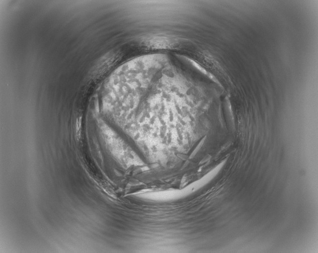 X0000053140406200507251821