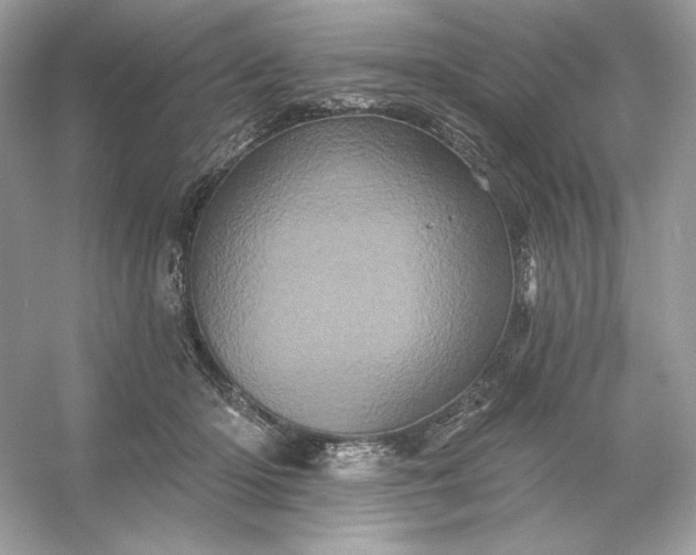 X0000053140414200507251820
