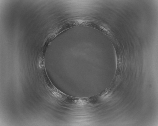 X0000053140419200507251820