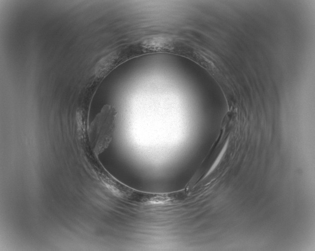 X0000053140420200507251820