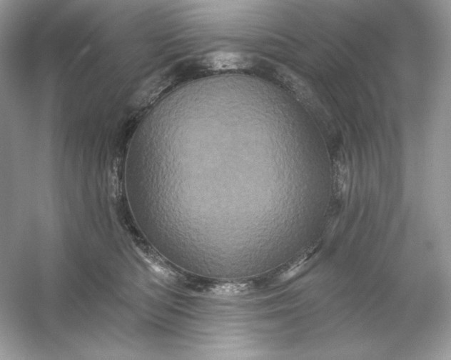 X0000053140422200507251820