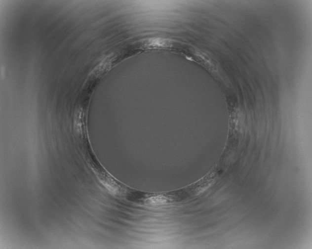 X0000053140423200507251820