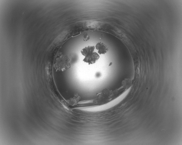 X0000053140424200507251820