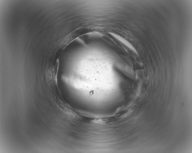 X0000053140425200507251820