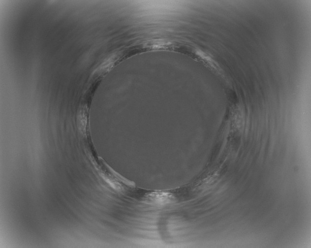 X0000053140427200507251820