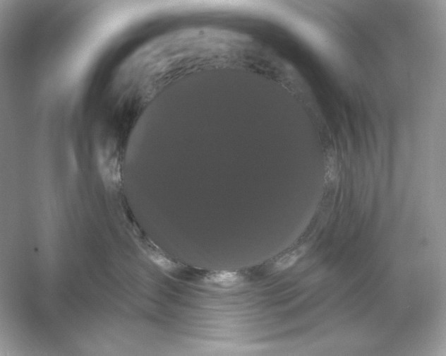 X0000053140431200507251820
