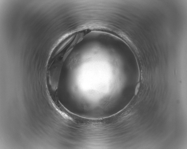 X0000053140438200507251819