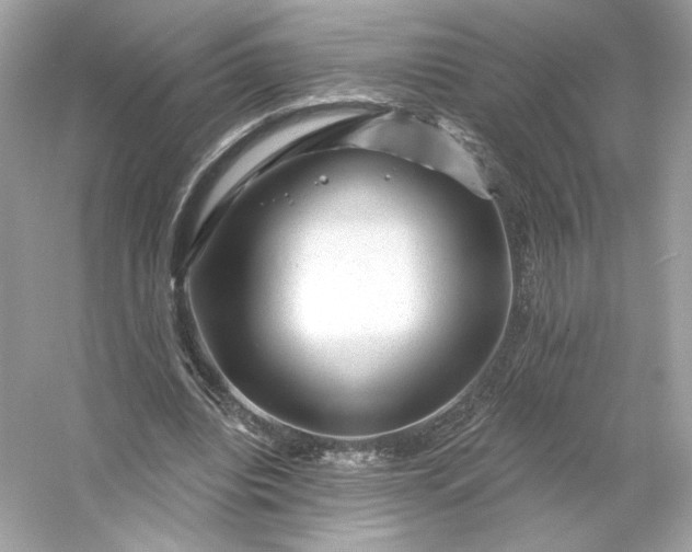 X0000053140440200507251819