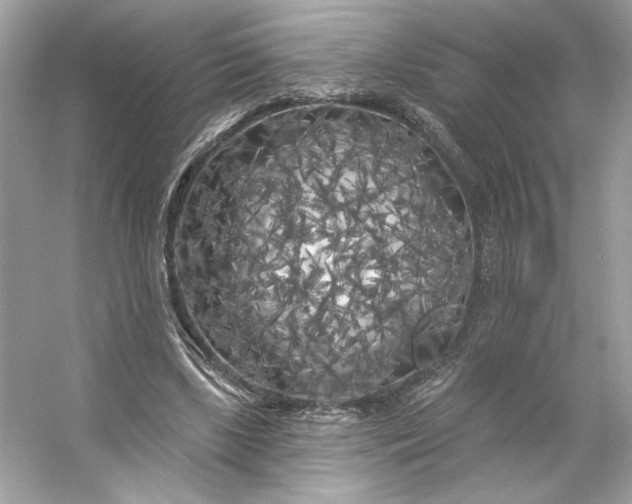 X0000053140443200507251820
