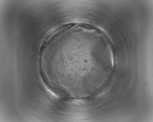 X0000053140445200507251820