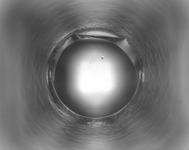 X0000053140448200507251820