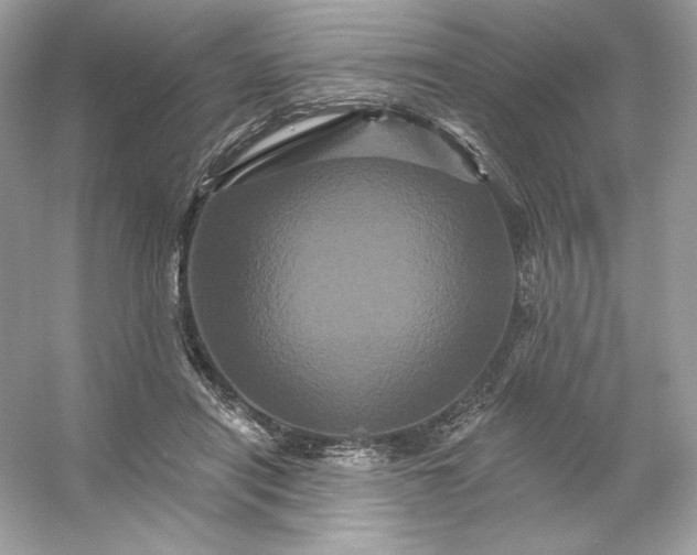 X0000053140454200507251820