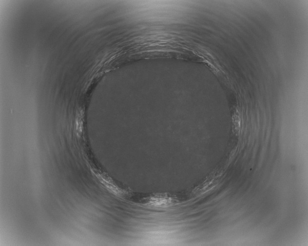 X0000053140458200507251820