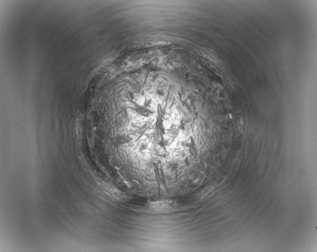X0000053140461200507251820