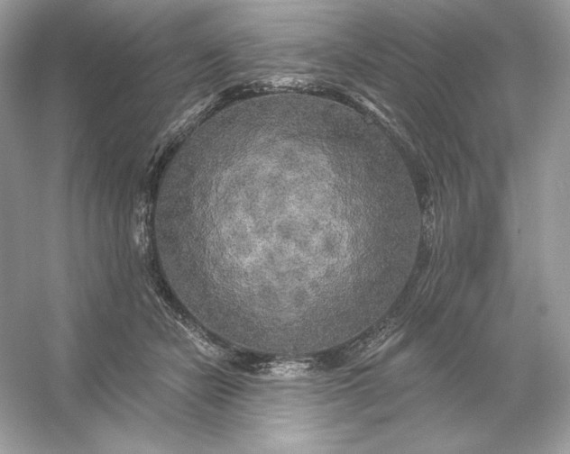 X0000053140462200507251820