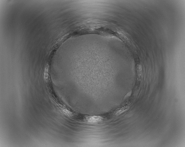 X0000053140463200507251820