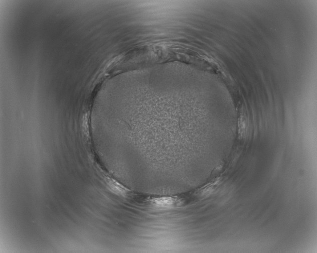 X0000053140473200507251820