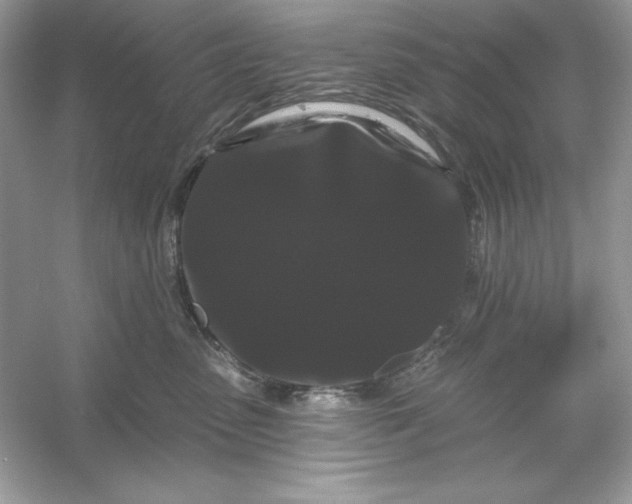 X0000053140475200507251820