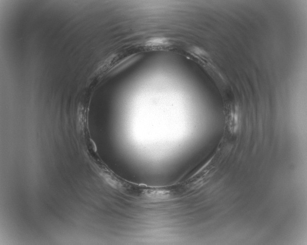X0000053140476200507251820