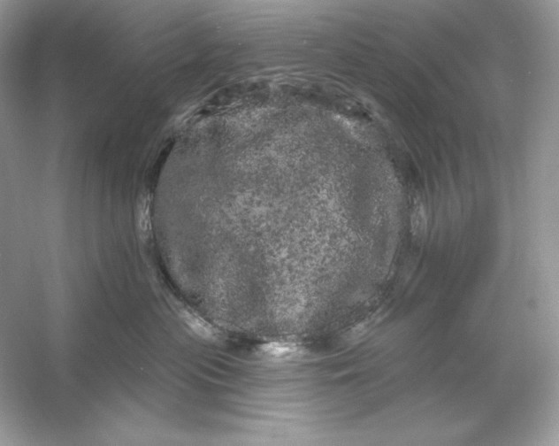 X0000053140477200507251820